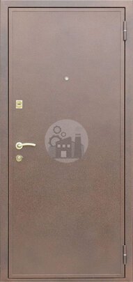 Металлическая дверь для дачи, отделка полимерно-порошковое покрытие и МДФ-ДВ-868