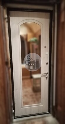 маталлическая дверь в квартиру с зеркалом